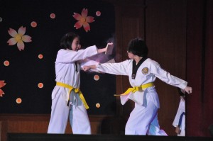 Ahli Tae Kwan Do 